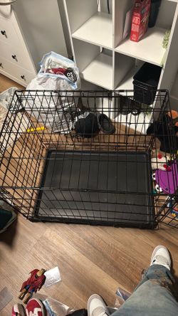 Kennel