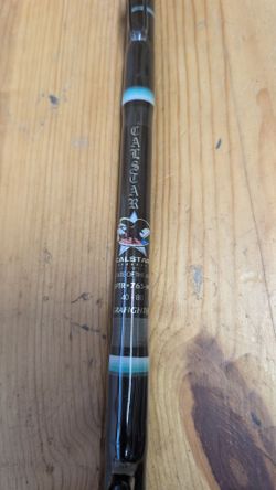 Calstar rod with Penn International reel