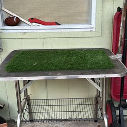 Dog grooming Table