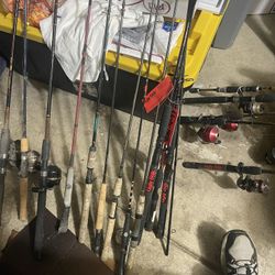 Rods And Some Reels