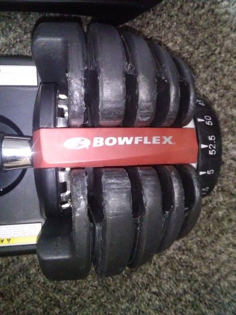Bowflex Adjustable Dumbbells