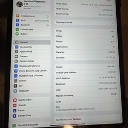 iPad Pro 12.9” 3rd Gen 