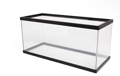20 gallon tank