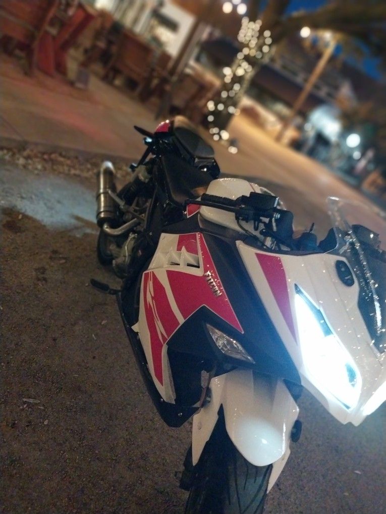 vitacci falcon