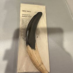 Saber Tooth Replica