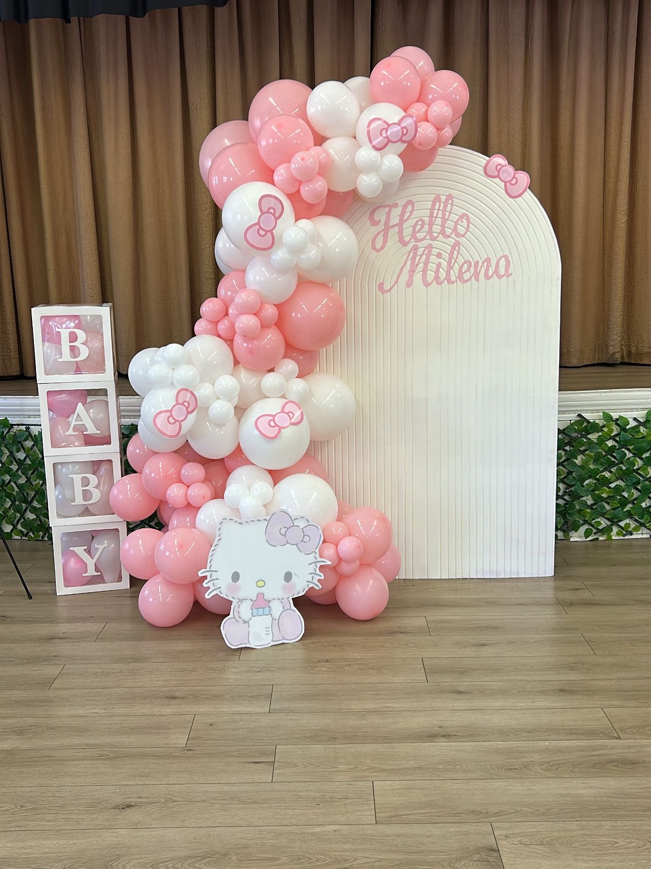 Balloon Backdrop