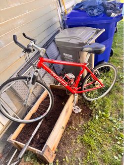 Specialized mt bike