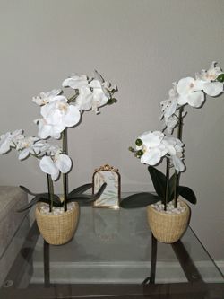 White flowers