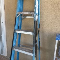 Ladder Werner
