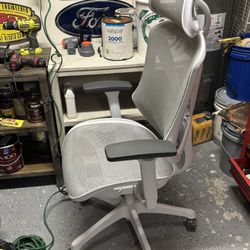 Dexley Ergonomic Mesh Swivel Task OfficeChair