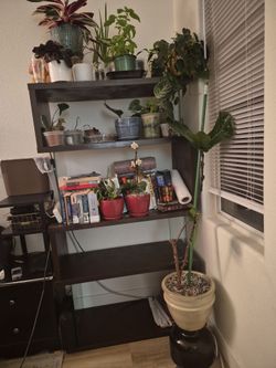 Shelf "S" shaped with glass sides