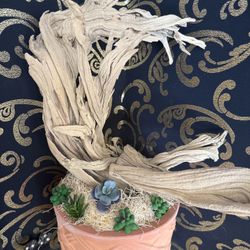 Nature Decoration Ghost Wood