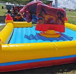 Mechanical Bull for Sale