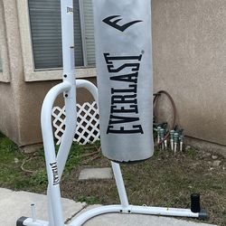 Everlast Punching Bag And Stand 