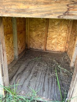 Outdoor Wooden Dog House