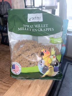 Bird food