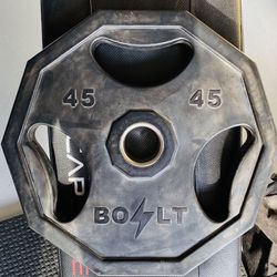 Bolt Fitness Steel 45Lb Plates 