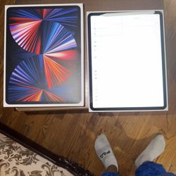 iPad Pro 12.9 5th Gen