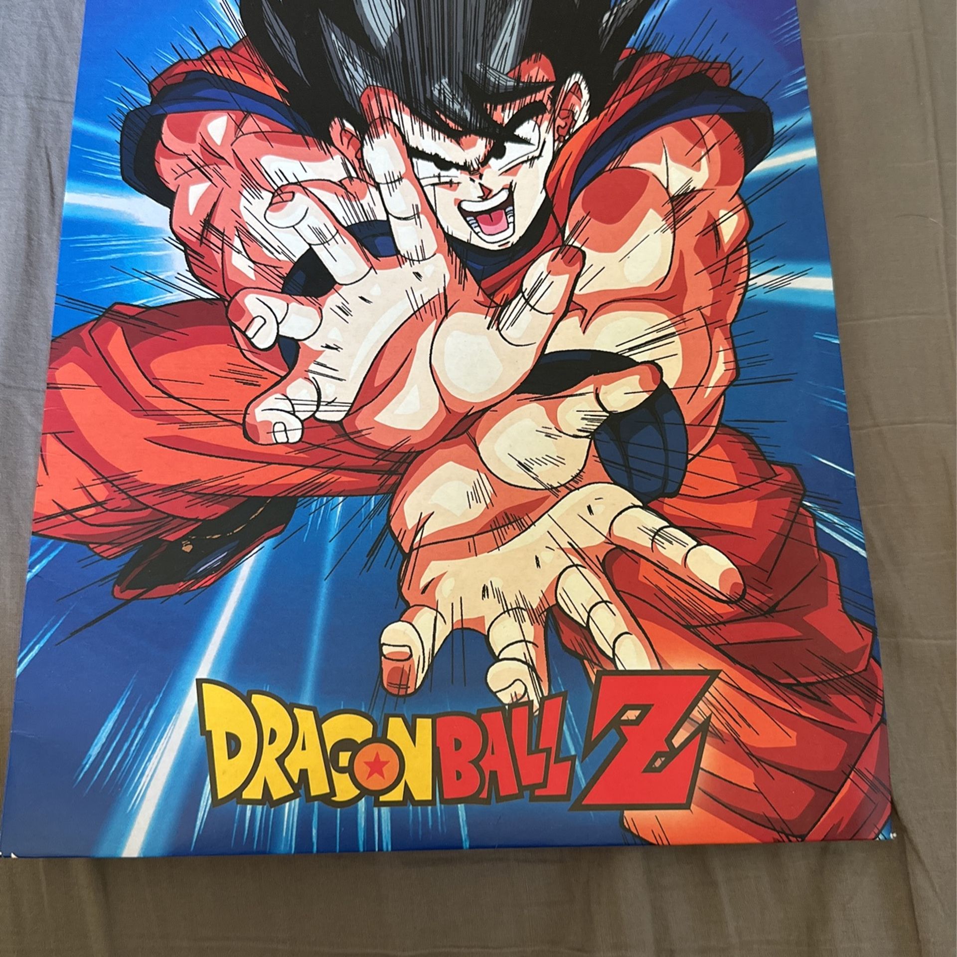 Dragon Ball Z Gift Wrap & Bag