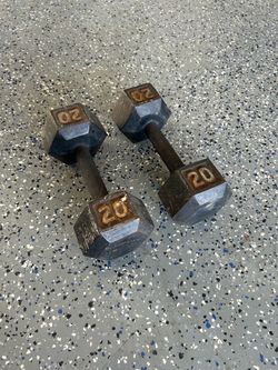 20 lb hand weights