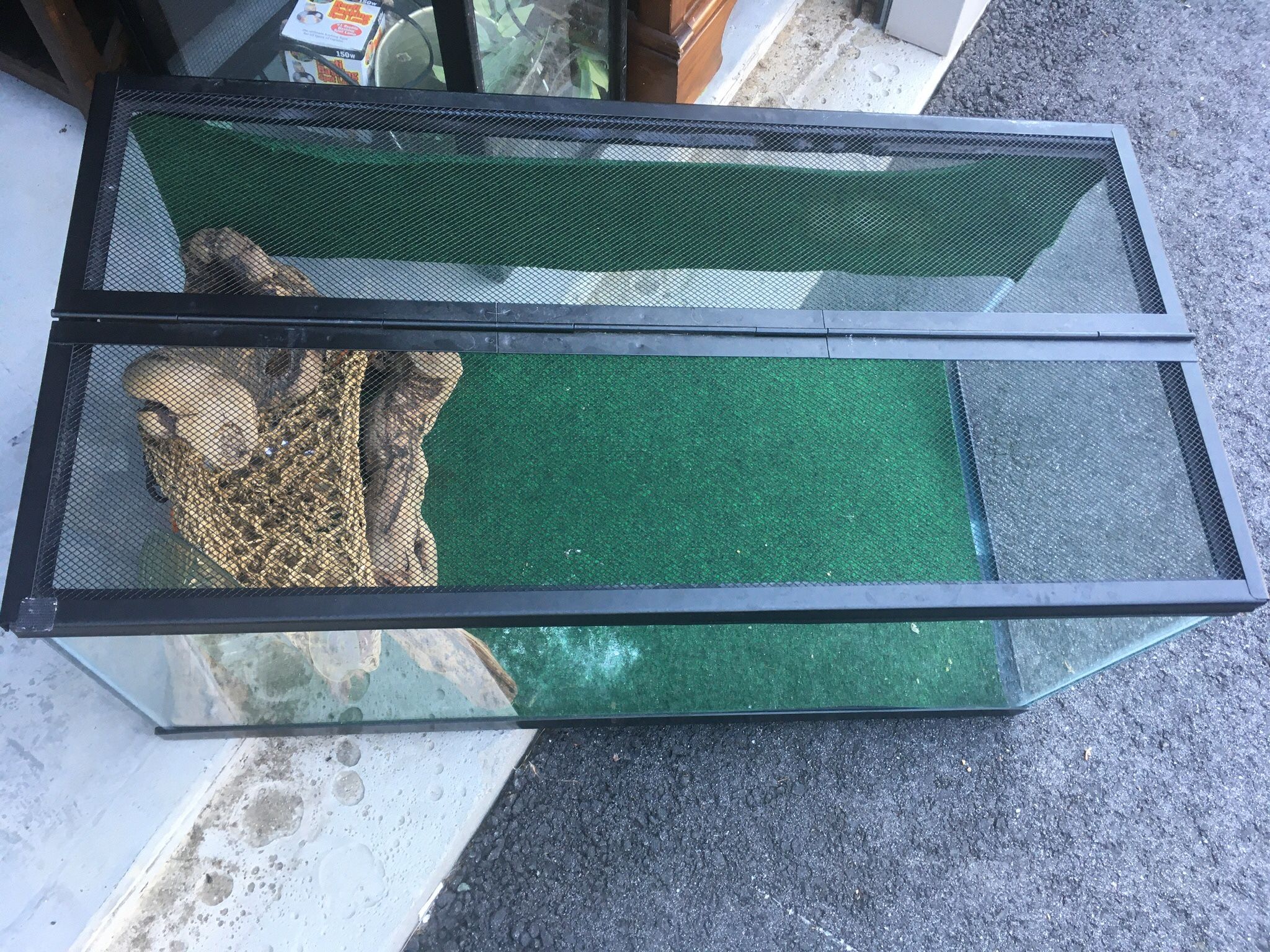 Medium Reptile Tank