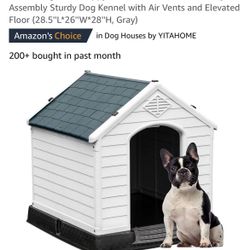 Small Dog House 