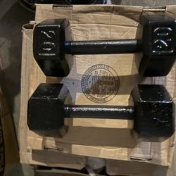 20lb Dumbbells 