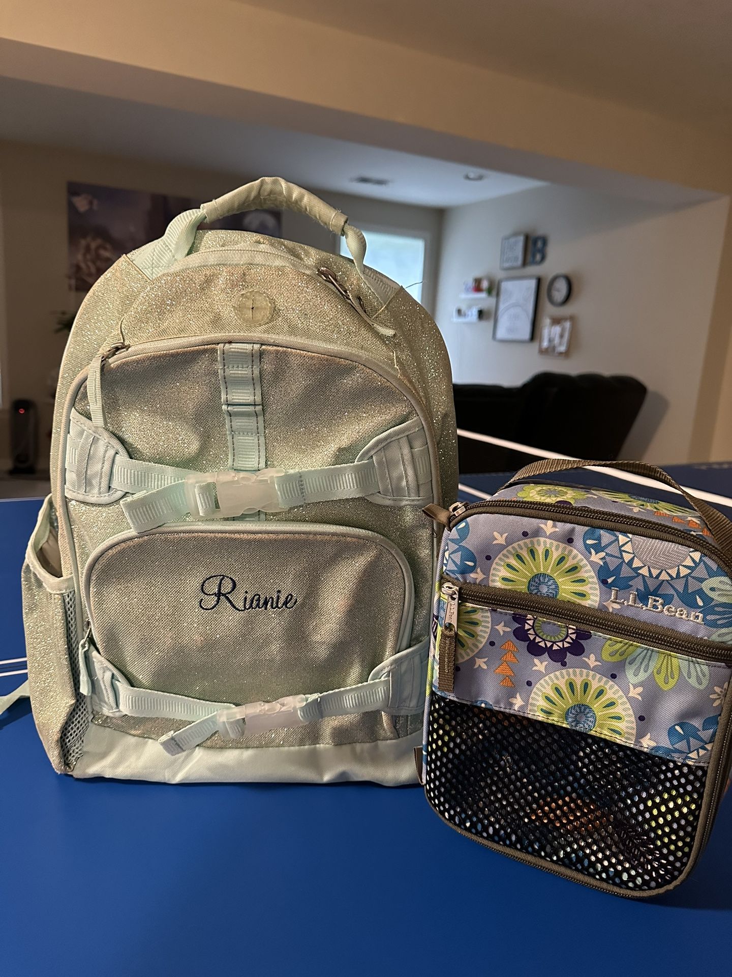 Pottery barn / LL bean Lunch Bag