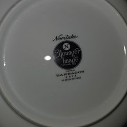 white-on-white plates are Noritake Barbados dinner plates and 1 Bowl from the Younger Image 