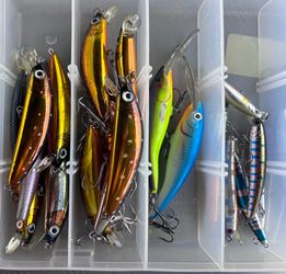Assorted Fishing Lure Collection