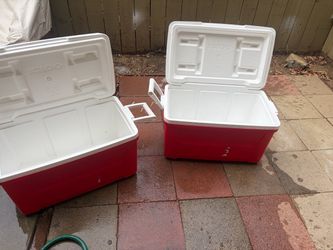 Igloo ice chest