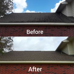 Mold and Algae Remover