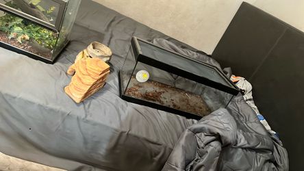 Small Glass Reptile Tank with Lid