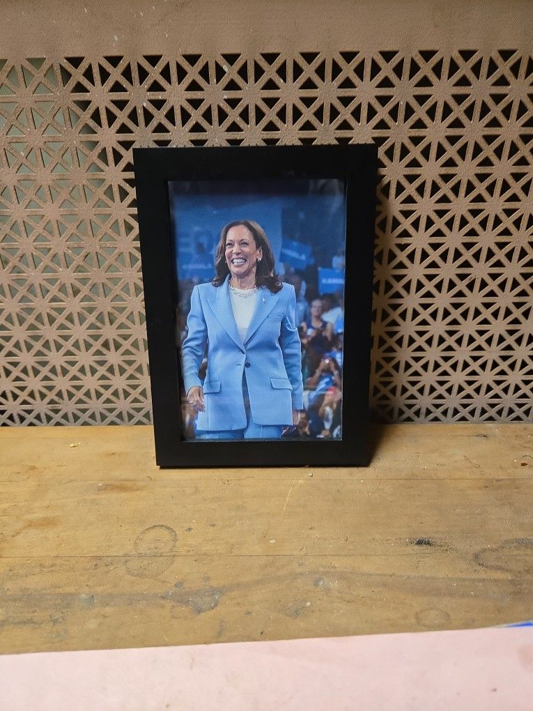 Kamala Harris Vice President USA Recently