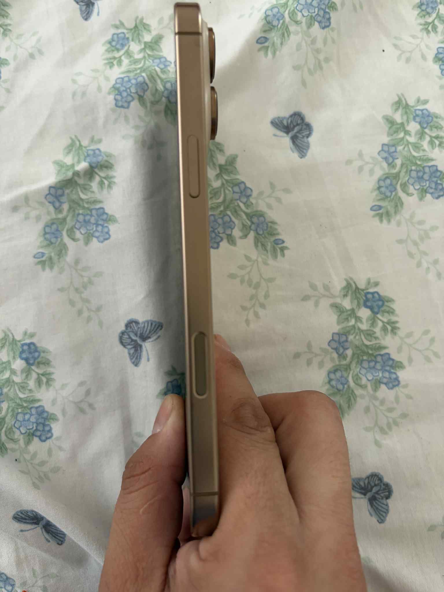 iphone pro max