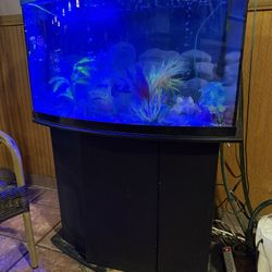 Fish Tank + Filter Pump