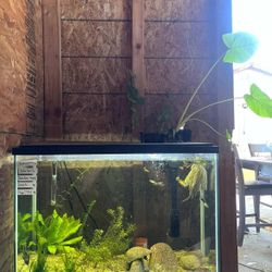 Fish Tank ( Read Description)
