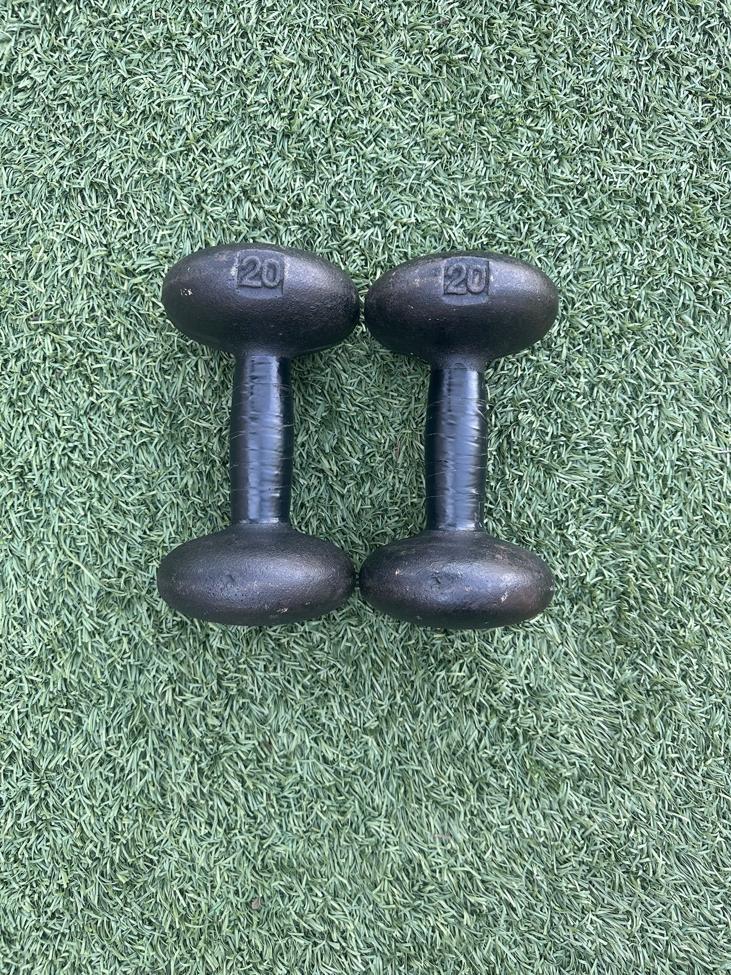 20 Pound Dumbbells