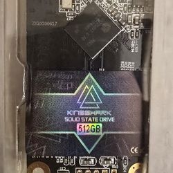  Dogfish Technology 512GB King Shark M-SATA Solid State Drive
