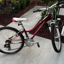 Mountain Bicycle