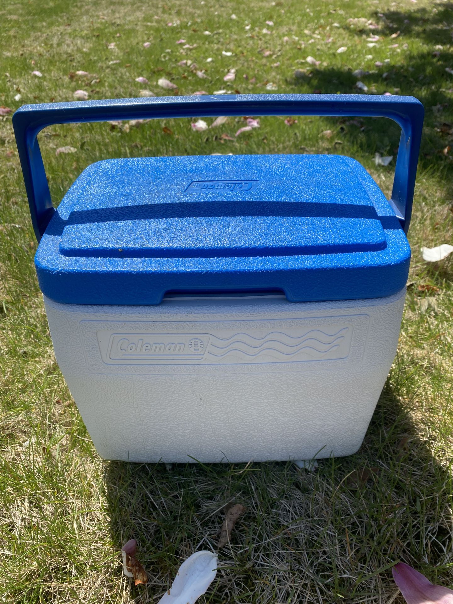 Vintage Coleman Mini Cooler / Ice Chest / Lunchbox Blue Lid