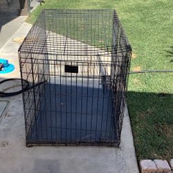 Dog Crate