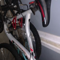 Mongoose