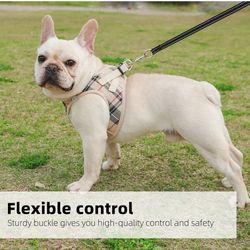 Harness With Straps For Pets 