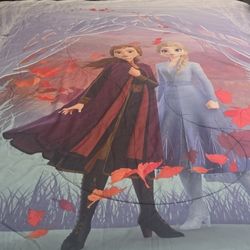 Twin Frozen Comforter 