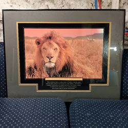 Lions Motivation Photo 