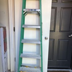 6 Ft Werner Ladder