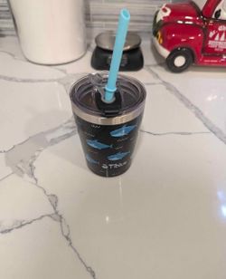 Stainless steal sippy cup