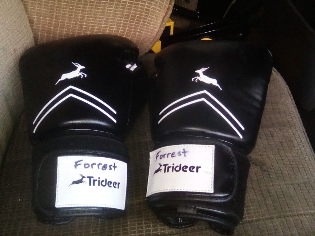 Trideer boxing gloves