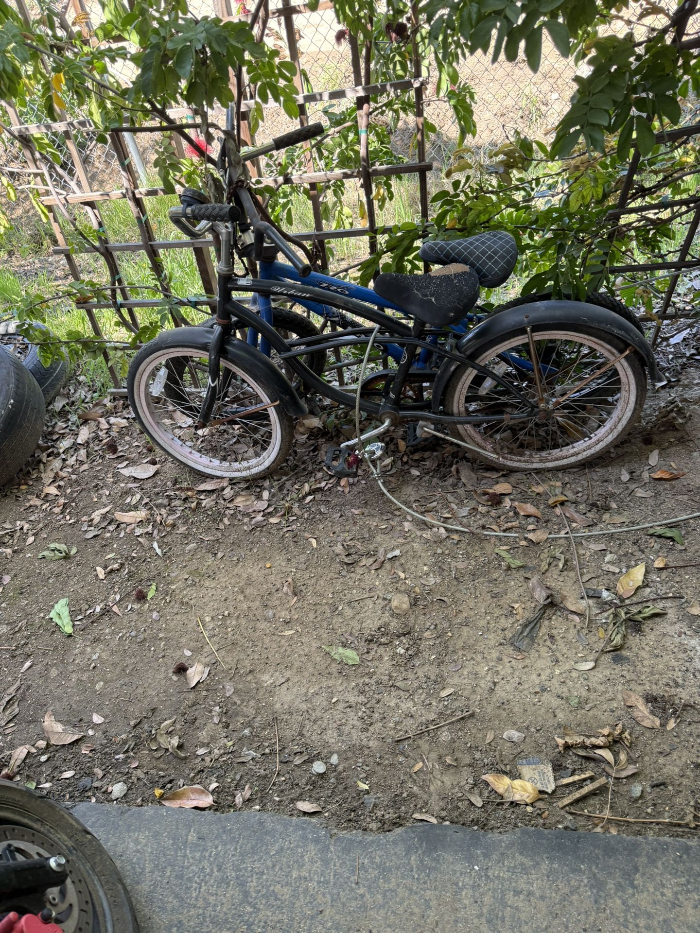 Kids Bikes
